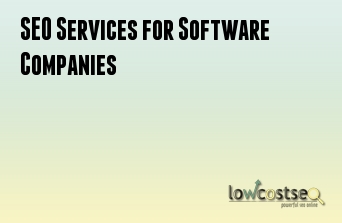 SEO Services for Software Companies